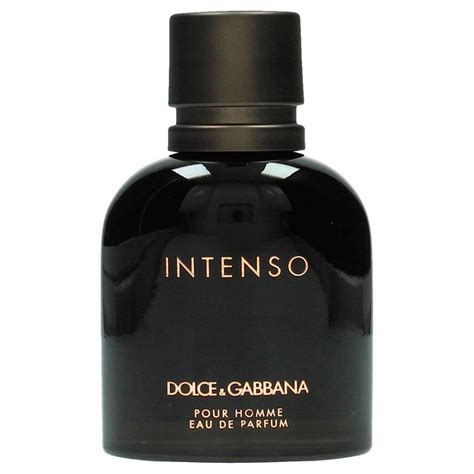 wehkamp dolce gabbana intenso|dolce gabbana intenso price.